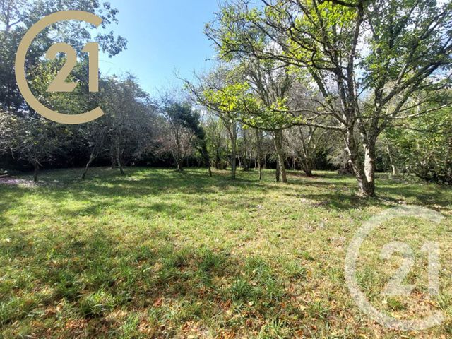 Afficher la photo en grand maison à vendre - 6 pièces - 140.0 m2 - CURSAN - 33 - AQUITAINE - Century 21 Nci Immobilier