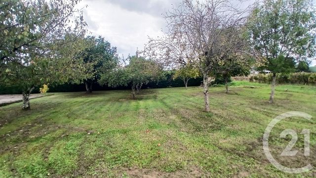 terrain - RAUZAN - 33