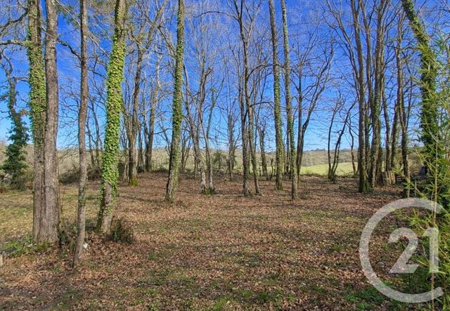 maison à vendre - 8 pièces - 107.71 m2 - BEYCHAC ET CAILLAU - 33 - AQUITAINE - Century 21 Nci Immobilier