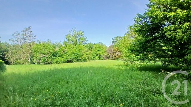 maison à vendre - 5 pièces - 140.0 m2 - RAUZAN - 33 - AQUITAINE - Century 21 Nci Immobilier